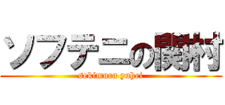 ソフテニの関村 (sekimura yuhei)