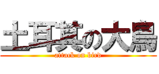 土耳其の大鳥 (attack on bird)