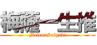 梅薩一生推 (MelenxSalgadi)