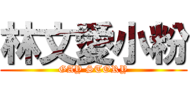 林文愛小粉 (GAY STORY)