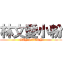 林文愛小粉 (GAY STORY)