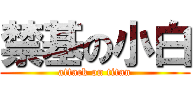 禁基の小白 (attack on titan)
