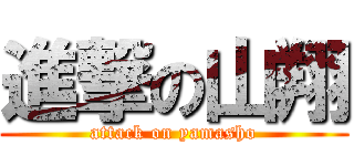 進撃の山翔 (attack on yamasho)