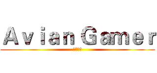 Ａｖｉａｎ Ｇａｍｅｒ (遊戲達人)