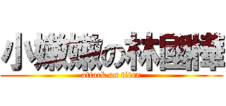 小嫩嫩の林國樺 (attack on titan)