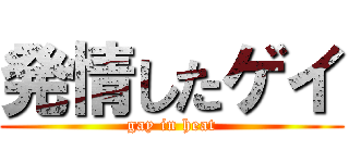 発情したゲイ (gay in heat)