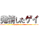 発情したゲイ (gay in heat)