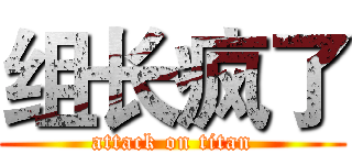 组长疯了 (attack on titan)