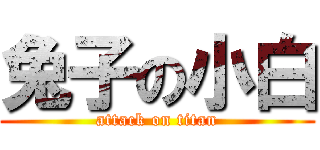 兔子の小白 (attack on titan)