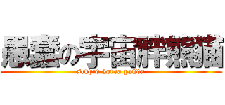 愚蠢の宇宙胖熊猫 (stupid korea panda)