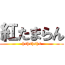 紅たまらん (hshshshs)