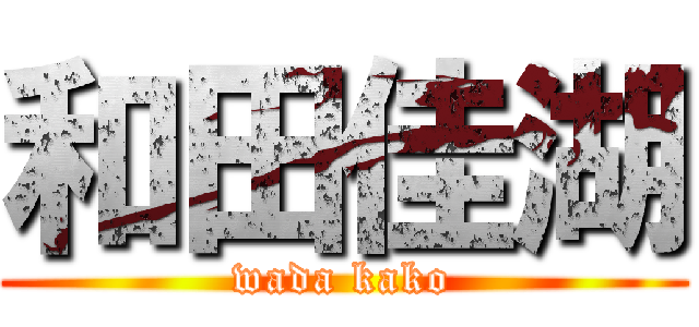 和田佳湖 (wada kako)