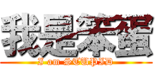 我是笨蛋 (I am STUPID)