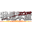 我是笨蛋 (I am STUPID)