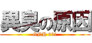 異臭の原因 (GNH 931)
