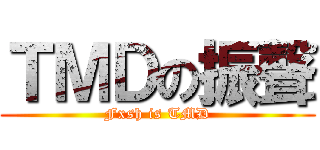 ＴＭＤの振聲 (Fxsh is TMD)
