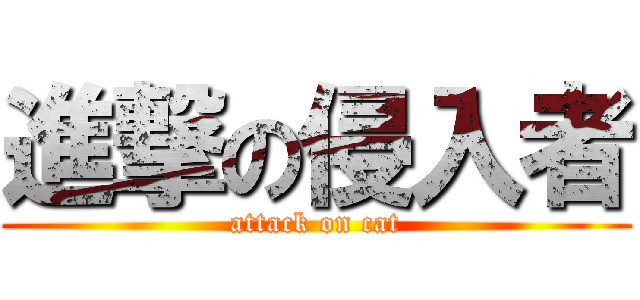 進撃の侵入者 (attack on cat)