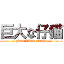 巨大な仔猫 (giant kitten sango)