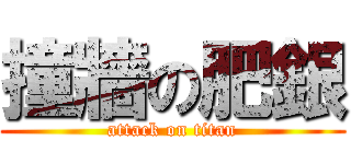 撞牆の肥銀 (attack on titan)