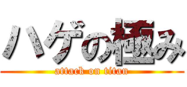 ハゲの極み (attack on titan)