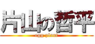 片山の哲平 (egg plant)