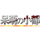 呆萌の小都 ()