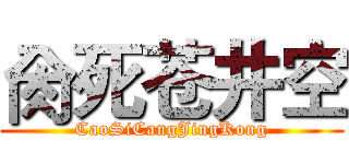 肏死苍井空 (CaoSiCangJingKong)