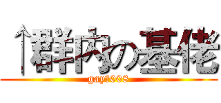 ↑群内の基佬 (gayの008)