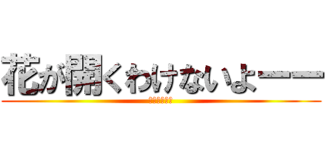 花が開くわけないよーー (立ち入り禁止)