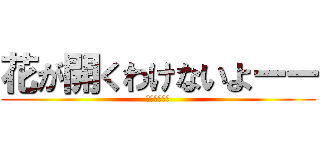 花が開くわけないよーー (立ち入り禁止)