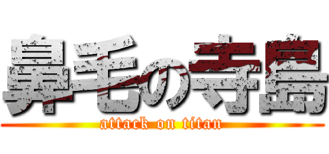 鼻毛の寺島 (attack on titan)