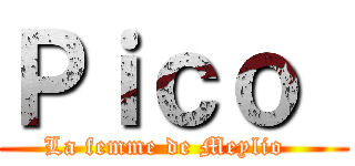 Ｐｉｃｏ  (La femme de Meylio  )