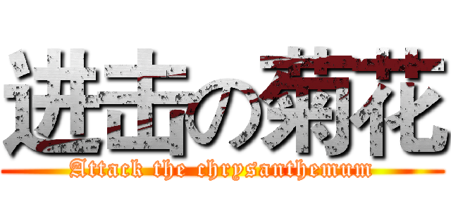 进击の菊花 (Attack the chrysanthemum)