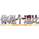 你是个逗比 (attack on Dou B)