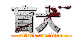 盲犬~ (attack on titan)