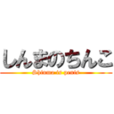 しんまのちんこ (Shinma is penis)