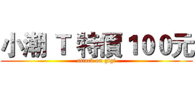 小潮 Ｔ 特價１００元 (attack on gigi)