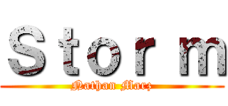 Ｓｔｏｒ ｍ (Nathan Marz)