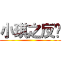 小琪之反擊 ()