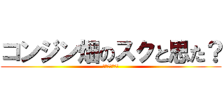 コンジン畑のスクと思た？ (違うよーーｗｗ)