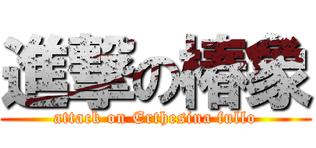 進撃の椿象 (attack on Erthesina fullo)