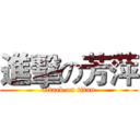 進擊の芳萍 (attack on titan)