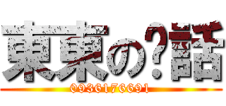 東東の电話 (0936176691)