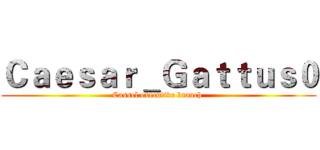 Ｃａｅｓａｒ＿Ｇａｔｔｕｓ０ (Cassel executive branch )