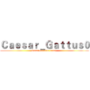 Ｃａｅｓａｒ＿Ｇａｔｔｕｓ０ (Cassel executive branch )