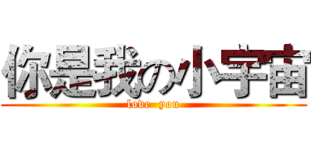 你是我の小宇宙 (love  you)