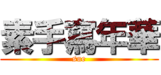 素手寫年華 (sue)