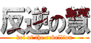 反逆の慧 (kei of the rebellion)