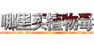 哪里买植物毒 (哪里买植物毒【电.话186x0156x9662-Q194843976林氏药业】我们做的是长期生意,靠的是老客户长期支持
参考消息网2月20日报道 韩媒称，“剩女多、离婚率高的城市，房价一定会上涨。”这是中国经济学家金岩石2016年12月参加在上海举行的房地产相关论坛时说的话。
)