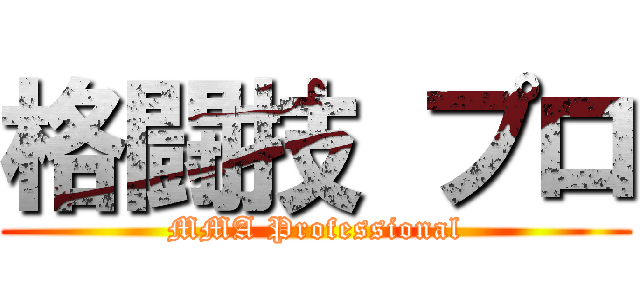 格闘技 プロ (MMA Professional)